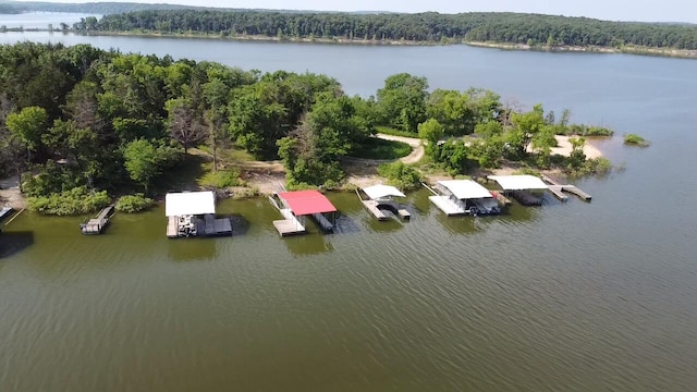 25795 Canyon Dr, Hermitage, MO 65668 - aerial view of a forest and a nearby body of water