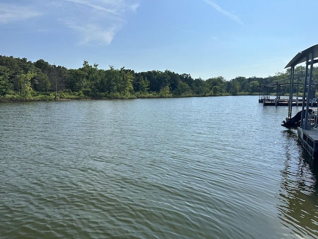 25795 Canyon Dr, Hermitage, MO 65668 - water view featuring a floating dock