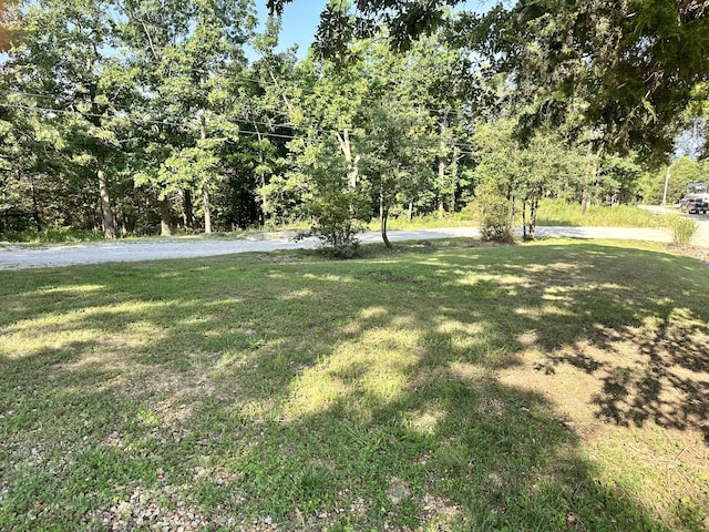 25795 Canyon Dr, Hermitage, MO 65668 - view of grassy yard