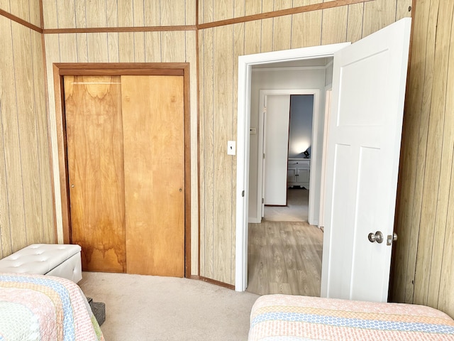 25795 Canyon Dr, Hermitage, MO 65668 - bedroom with a closet and light colored carpet