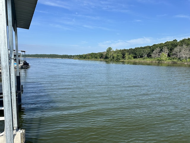 25795 Canyon Dr, Hermitage, MO 65668 - water view