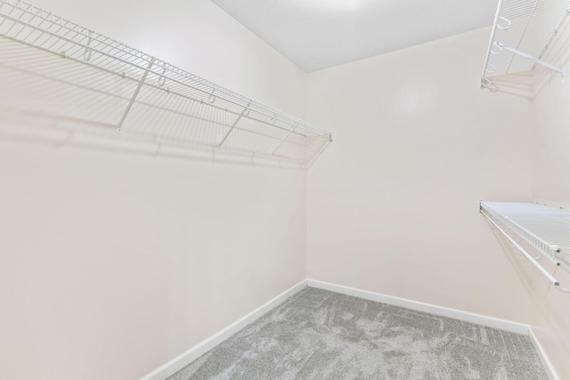 604 N Ellen St, Nixa, MO 65714 - walk in closet featuring carpet floors