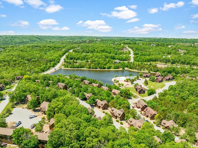 23 Olivia Ct Unit 103A, Branson West, MO 65737 - bird's eye view of a forest and a nearby body of water