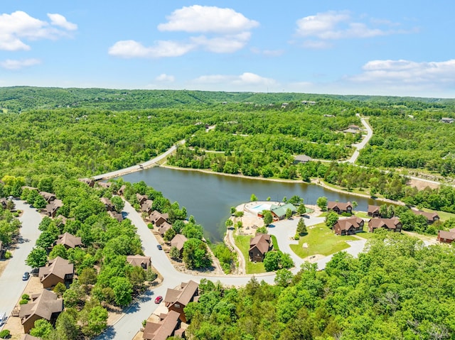 23 Olivia Ct Unit 103A, Branson West, MO 65737 - aerial view of a large body of water