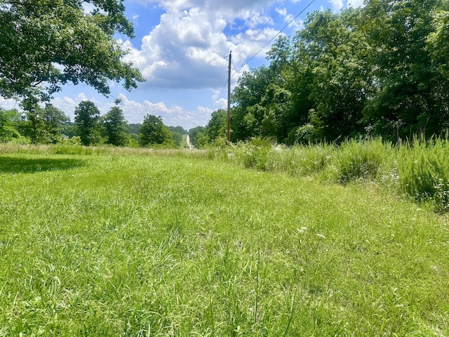 11975 E 1100th Rd, Stockton, MO 65785 - photo 3
