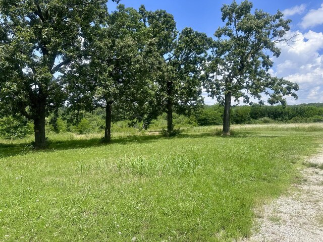 11975 E 1100th Rd, Stockton, MO 65785 - photo 6