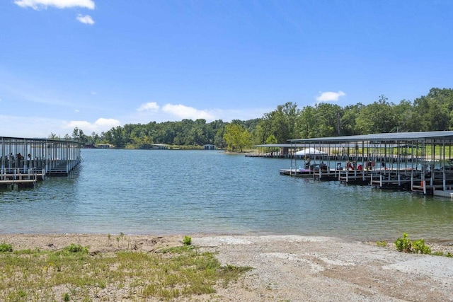 208 Jax Trl, Branson, MO 65616 - dock area featuring a water view