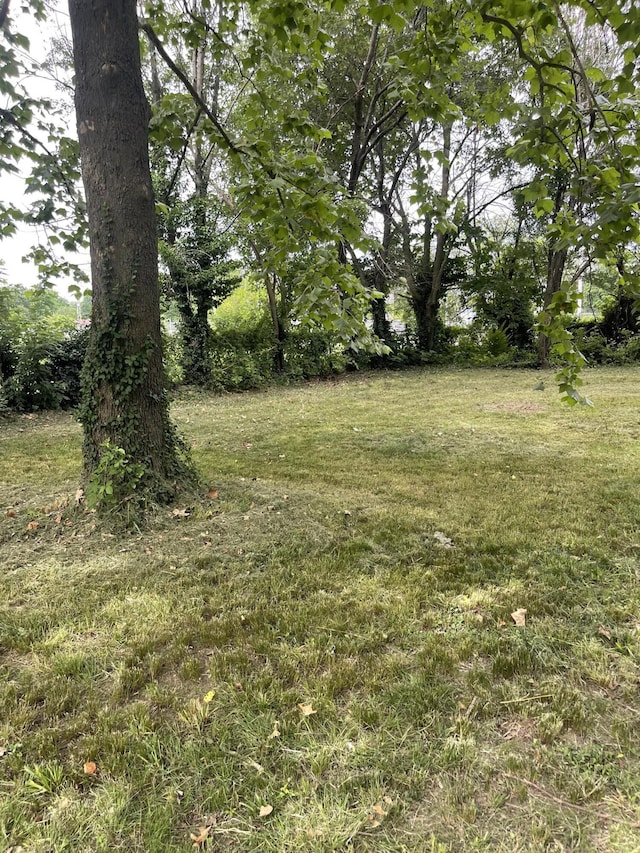 1506 6th St, Monett, MO 65708 - view of grassy yard