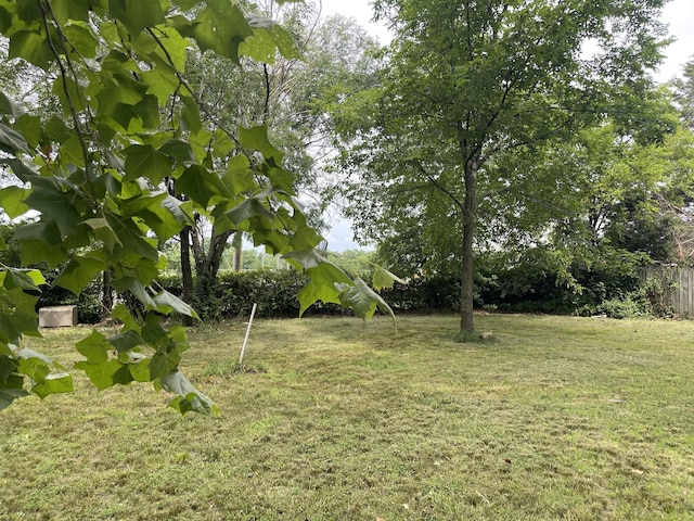 1506 6th St, Monett, MO 65708 - view of yard