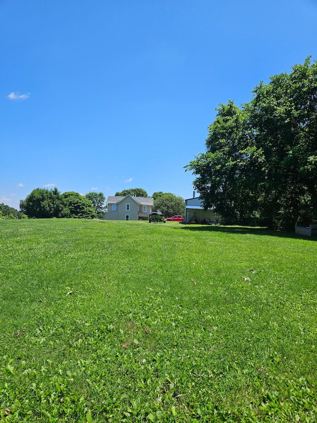 289 Backyard St, Crane, MO 65633 - view of grassy yard