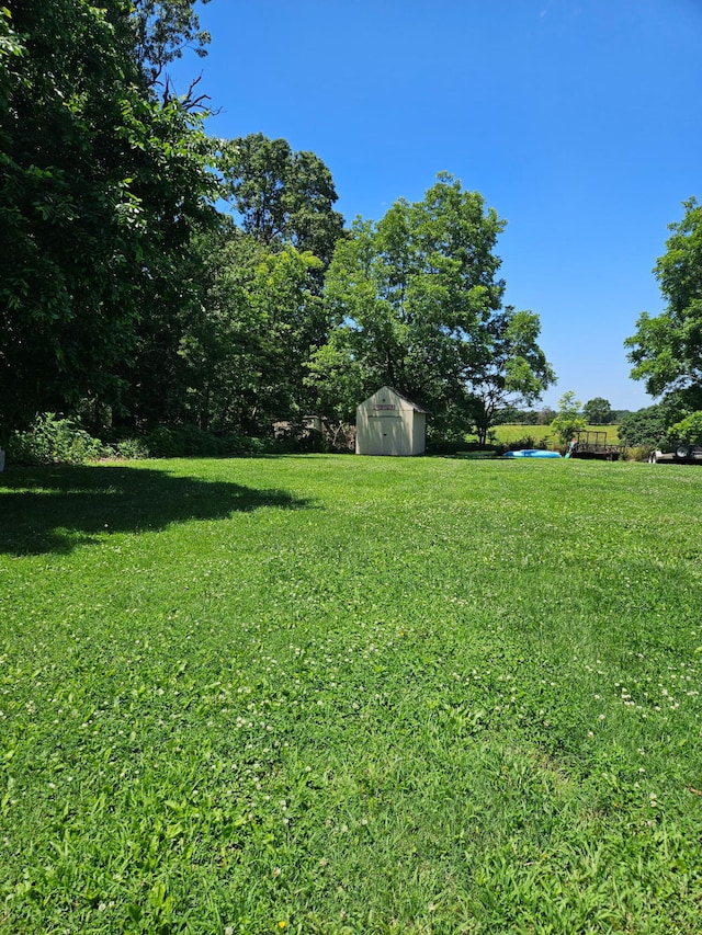 289 Backyard St, Crane, MO 65633 - view of grassy yard featuring a shed