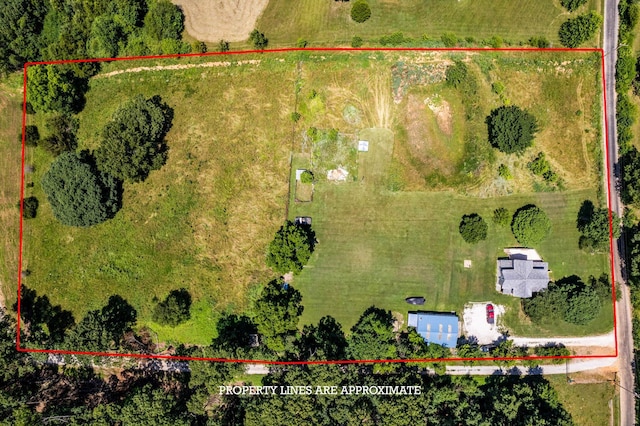289 Backyard St, Crane, MO 65633 - photo 10