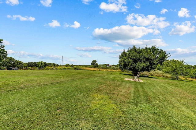 289 Backyard St, Crane, MO 65633 - photo 30