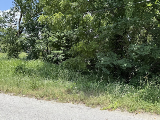 117 W College St, Bolivar, MO 65613