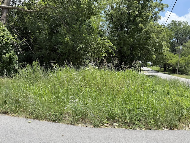 117 W College St, Bolivar, MO 65613