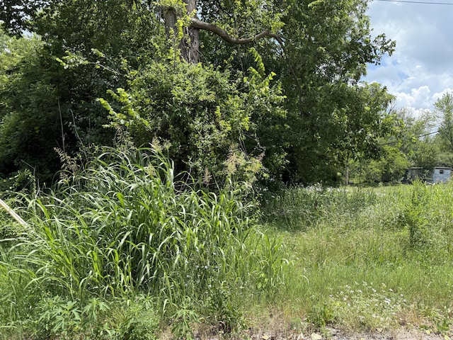 117 W College St, Bolivar, MO 65613