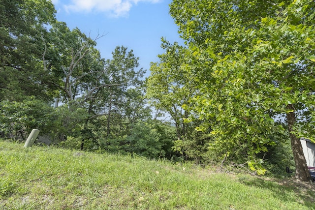 91 Big Timber Dr, Branson, MO 65616 - photo 4