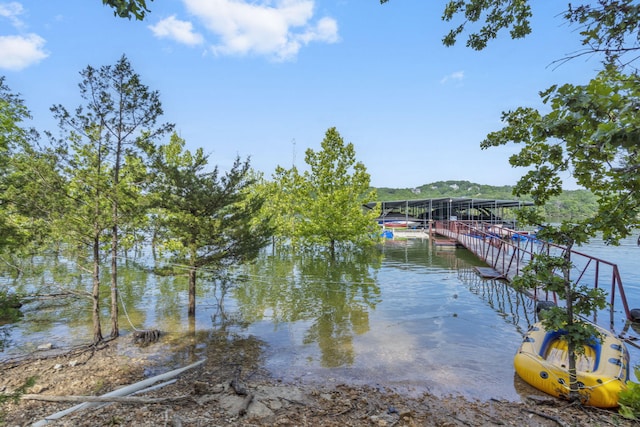 91 Big Timber Dr, Branson, MO 65616 - photo 7