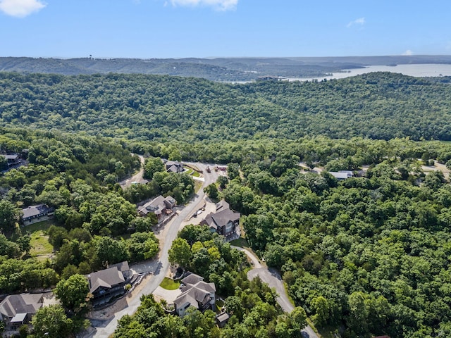 91 Big Timber Dr, Branson, MO 65616 - photo 10