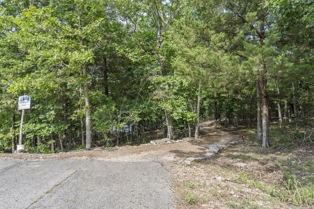 91 Big Timber Dr, Branson, MO 65616 - photo 6
