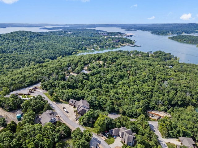 91 Big Timber Dr, Branson, MO 65616 - photo 13