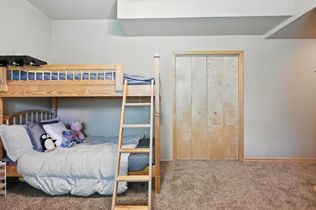 22562 Air Park Dr, Golden, MO 65658 - bedroom with carpet floors and a closet