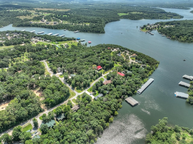 22562 Air Park Dr, Golden, MO 65658 - aerial view of a large body of water and a heavily wooded area