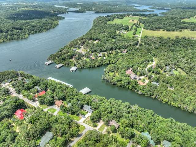 22562 Air Park Dr, Golden, MO 65658 - aerial view of property and surrounding area featuring a large body of water and a heavily wooded area
