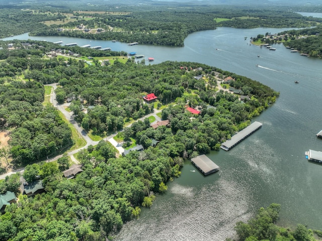 22562 Air Park Dr, Golden, MO 65658 - view of property location featuring a nearby body of water
