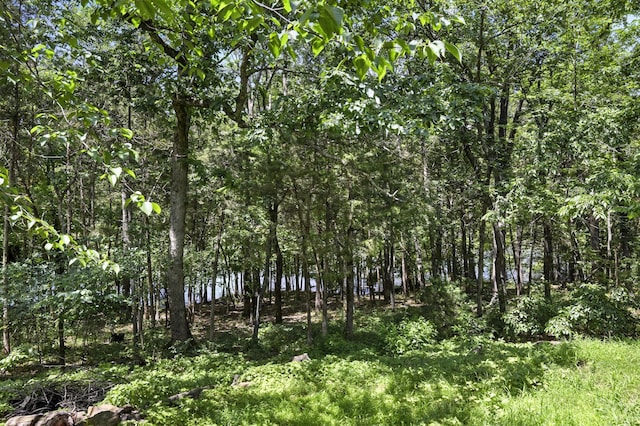 22562 Air Park Dr, Golden, MO 65658 - view of woods