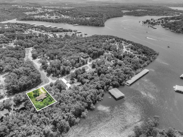 22562 Air Park Dr, Golden, MO 65658 - aerial overview of property's location featuring a nearby body of water and property parcel outlined