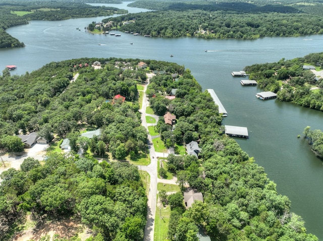 22562 Air Park Dr, Golden, MO 65658 - aerial view of property and surrounding area with a nearby body of water and a heavily wooded area