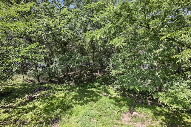 22562 Air Park Dr, Golden, MO 65658 - view of woods