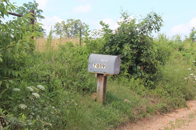 7019 County Road 1320, West Plains, MO 65775 - photo 5