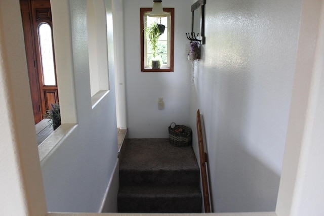 7019 County Road 1320, West Plains, MO 65775 - photo 39