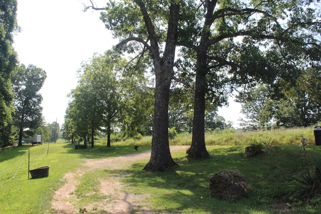 7019 County Road 1320, West Plains, MO 65775 - photo 2