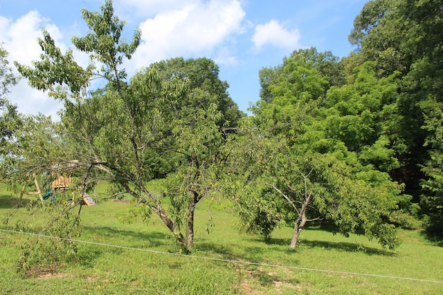 7019 County Road 1320, West Plains, MO 65775 - photo 17