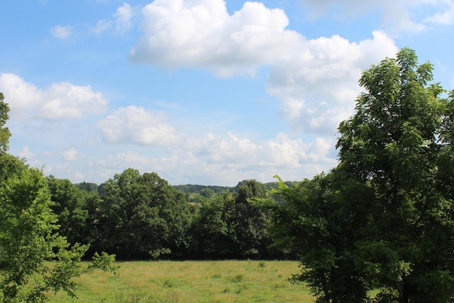 7019 County Road 1320, West Plains, MO 65775 - photo 19