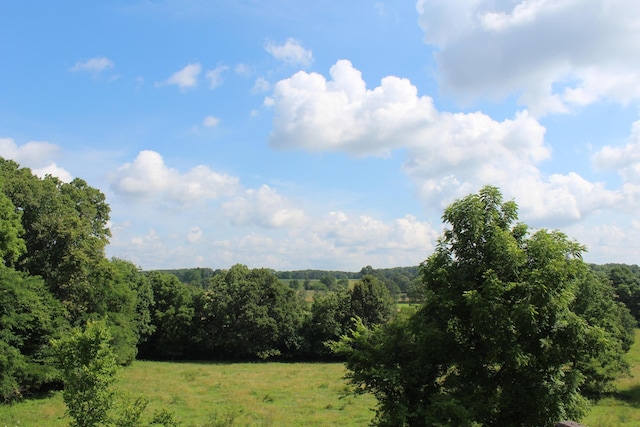 7019 County Road 1320, West Plains, MO 65775 - photo 20