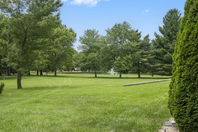 318 S Farm Rd Unit 193, Springfield, MO 65809 - view of grassy yard