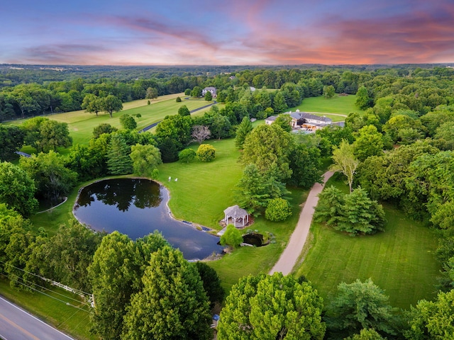 318 S Farm Rd Unit 193, Springfield, MO 65809 - bird's eye view of a large body of water
