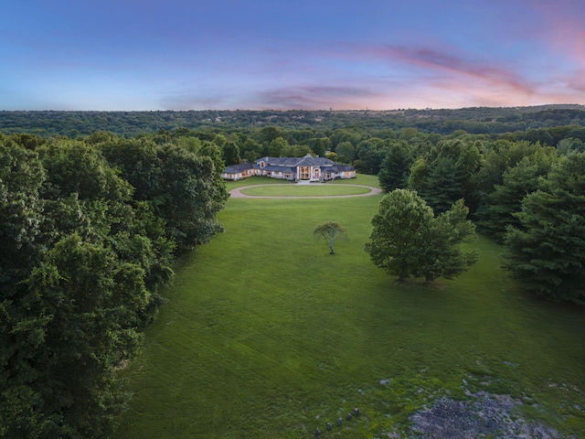 318 S Farm Rd Unit 193, Springfield, MO 65809 - aerial view at dusk of a wooded view