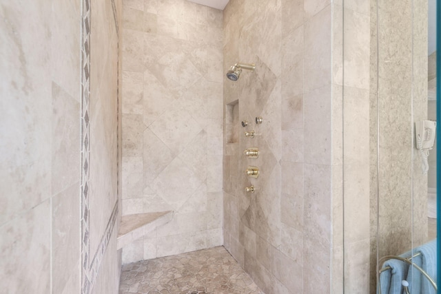 318 S Farm Rd Unit 193, Springfield, MO 65809 - bathroom with tiled shower