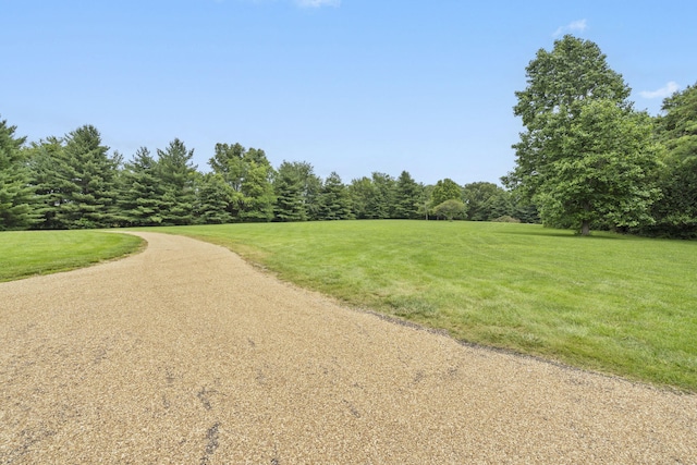 318 S Farm Rd Unit 193, Springfield, MO 65809 - view of street