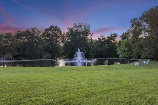 318 S Farm Rd Unit 193, Springfield, MO 65809 - yard at dusk with a water view and a yard