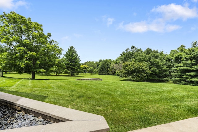 318 S Farm Rd Unit 193, Springfield, MO 65809 - view of green lawn