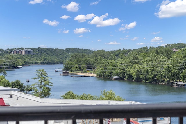 9502 Branson Landing Blvd Unit 502, Branson, MO 65616 - photo 48