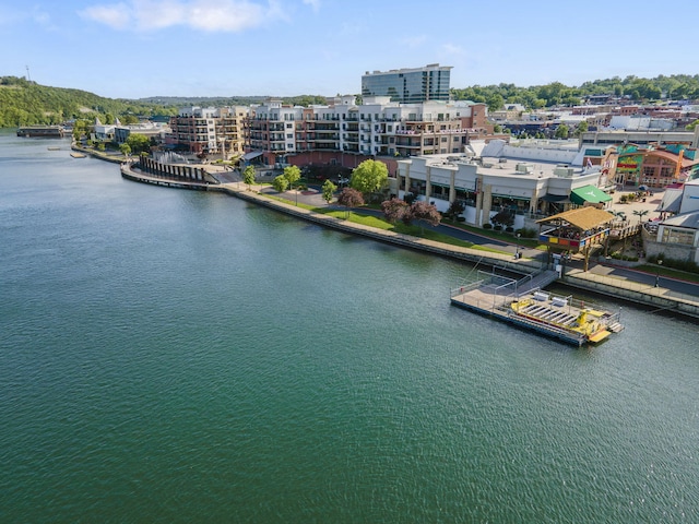 9502 Branson Landing Blvd Unit 502, Branson, MO 65616 - photo 58