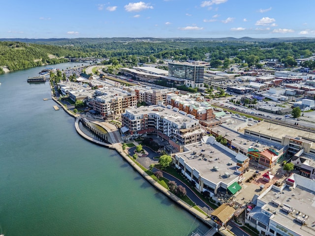 9502 Branson Landing Blvd Unit 502, Branson, MO 65616 - photo 59