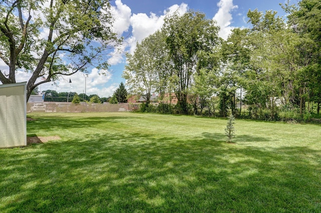1841 E Dale St, Springfield, MO 65803 - view of yard